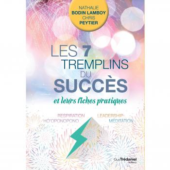 Les 7 tremplins du succès