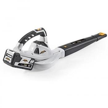 Alpina BL 548 Li 275 000 000/A15 kabelloses Staubsaugermodell 701.165.001