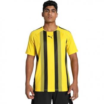 Puma Team Liga Striped Jersey for Men