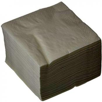 Serviettes en papier 30x30 cm 2 couches paquet de 100
