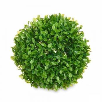 Plante d’intérieur Ibergarden – Bola Verte – 17×13,5×17 cm