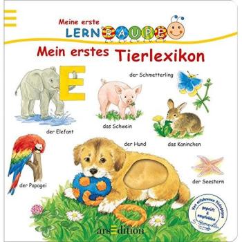 Lernraupe