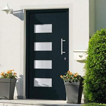 Porte d'entrée Aluminium et PVC 110x210 cm