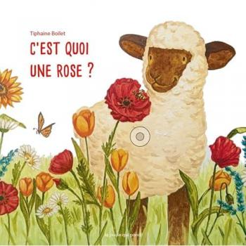 Les tout-cartons
