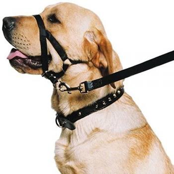 Ancol Safety Nylon Training Halter