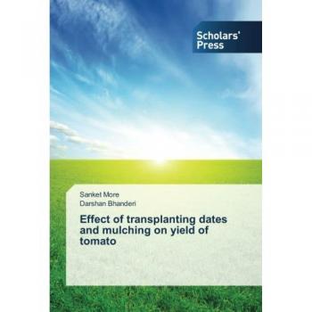 Effect of transplanting dates and mulching on yield of tomato