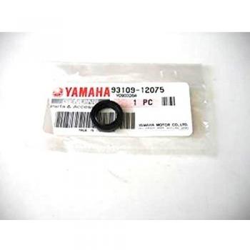 Moto Yamaha XJR 1200 1995‑1998: Operaciones y Junta SPI
