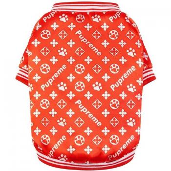 Ropa Urbana Roja con Logo INS para Yorkies