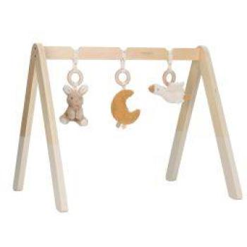Baby Gym Klein Nederlands Gans
