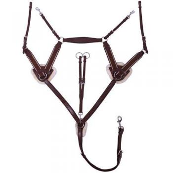 QHP Ontario Vorderzeug