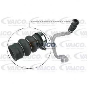 VAICO V25-1052 Ladeluftschlauch für Ford Fahrzeuge