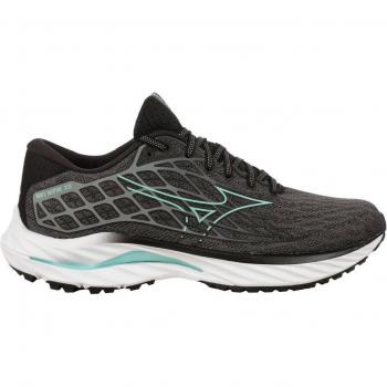 Zapatillas de Running Mizuno Wave Inspire 20