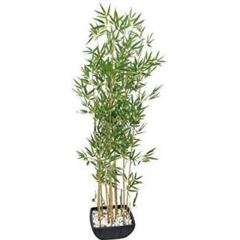 Pianta Decorativa di Bambu' EUROPALMS 150cm