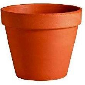 Deroma Vaso Terracotta 4,8-10 cm – Colore “Etica”
