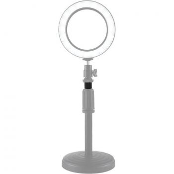 3/8 inch Female to 1/4 inch Male Screw Adapter