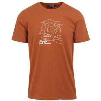 Regatta Cline VIII Herren T-Shirt in Gebackene Tonerde Rot 3XL