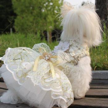 Encaje Pomerania Estacional