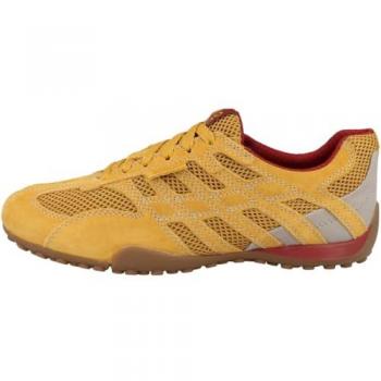 Geox Trainer – Snake Original A Model