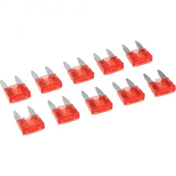 Fusibles Mini 10A para Coche y Camión