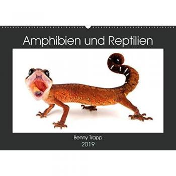 Amphibien und Reptilien