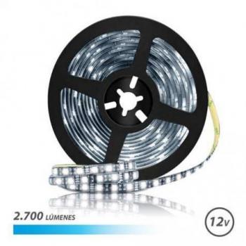 Strip LED Buck Elbat 12V 2700lm Lumière Froid 6500k 30 LEDs/m 5m