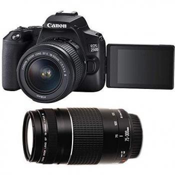 Canon EOS 250D Kit con Obiettivo 18-55mm e 75-300mm