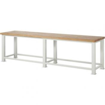 RAU Robust Workbench with 50mm Surface