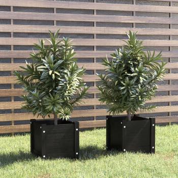 Pots de plantes en bois de pin noir 2 pcs 31x31x31 cm