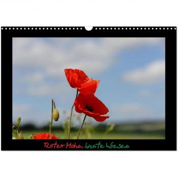 Roter Mohn bunte Wiesen (Wandkalender 2024 DIN A3 quer) CALVENDO Monatskalender