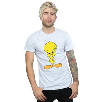Ropa Hombre Absolute Cult X-Large Negra de los Hermanos con Tweety Furioso