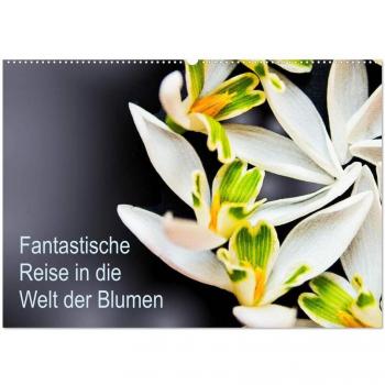 Fantastische Reise in die Welt der Blumen (Wandkalender 2025 DIN A2 quer) CALVENDO Monatskalender