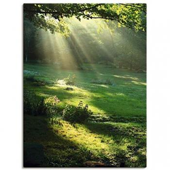 Artland Wandbild »Lichtkegel«, Wald, 60cm x 80cm, Poster
