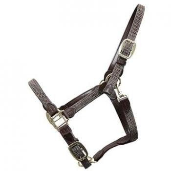 Braided Nylon Halter for Horses