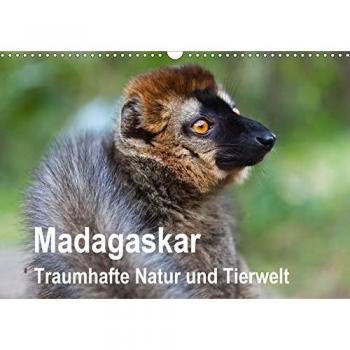 Madagaskar. Traumhafte Natur und Tierwelt