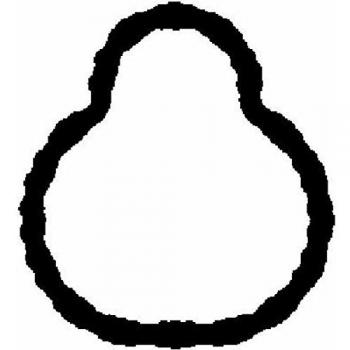 AJUSA Intake Gasket 13149900