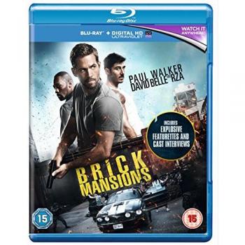 Brick Mansions