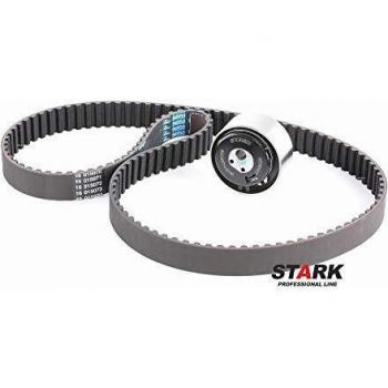 STARK SKTBK-0760104: Kit Completo per Motore BMW X5 2012‑2016