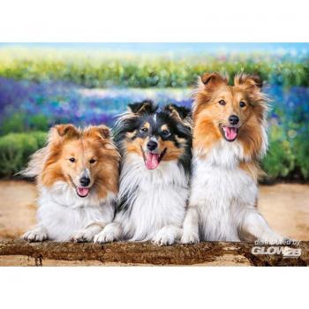 Shelties in the Lavender Garden Puzzle