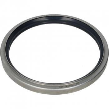 Wellendichtring für Radnabe hinten links/rechts – DT Universal 176 mm 1.17180