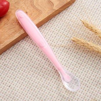 Baby Spoon and Dish Feeding Kit