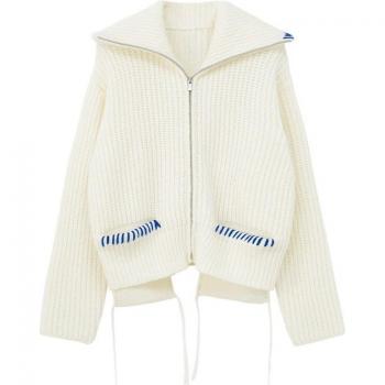 Koreanische Strickjacke für Damen mit Reißverschluss und Revers in Beige für die kalte Jahreszeit