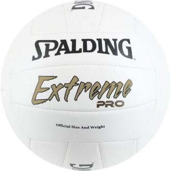 Ballon de beach-volley Spalding Extreme Pro (Taille 5)