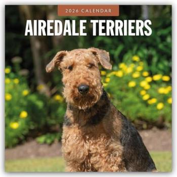 Airdale Terriers