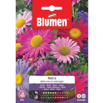 Sementi di Fiori Astro della Cina