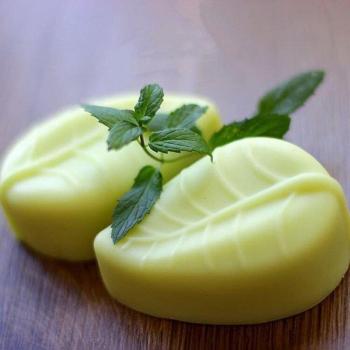 6 Cavity Leaf Silicone Soap Making Mold