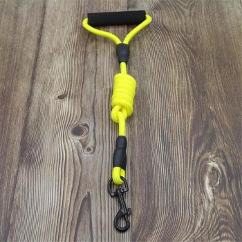 Correa de Seguridad para Perros 1.5M con Hebilla de Nylon