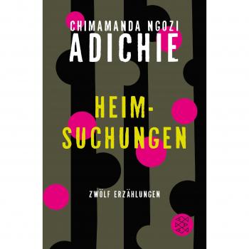 Adichie, Chimamanda Ngozi Heimsuchungen: Zwölf Erzählungen