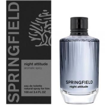 Night Attitude 100 ml