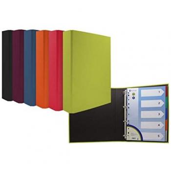Carpeta de 4 Anillas A4 con Separadores en 6 Colores