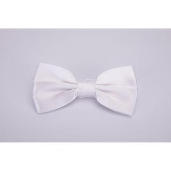 Nœud Papillon Élégant Blanc pour Homme